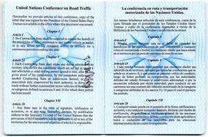 international driving license description